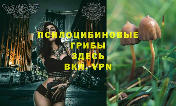 крисы Алексин
