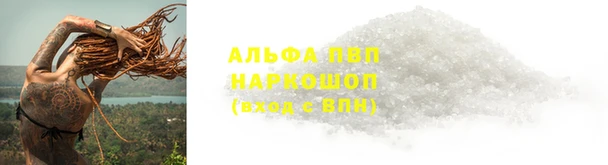 крисы Алексин