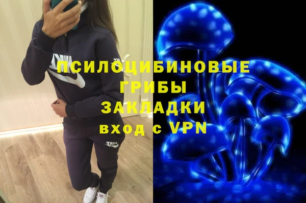 крисы Алексин