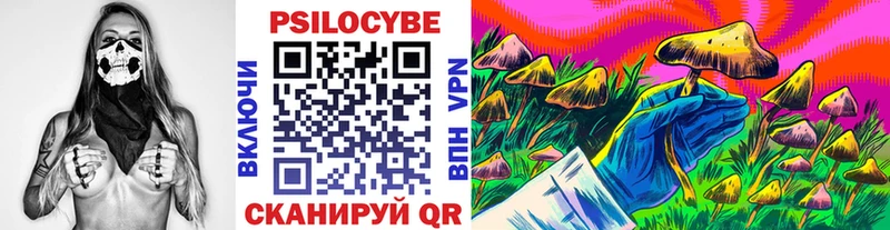 купить наркоту  Грязовец  Псилоцибиновые грибы мухоморы 