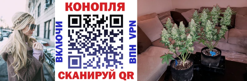 маркетплейс телеграм  mega вход  Канабис сатива  Грязовец  купить наркотики сайты 